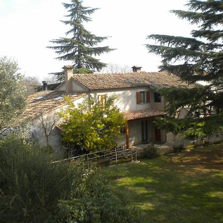 Agriturismo Le Vergare Offagna Екстериор снимка