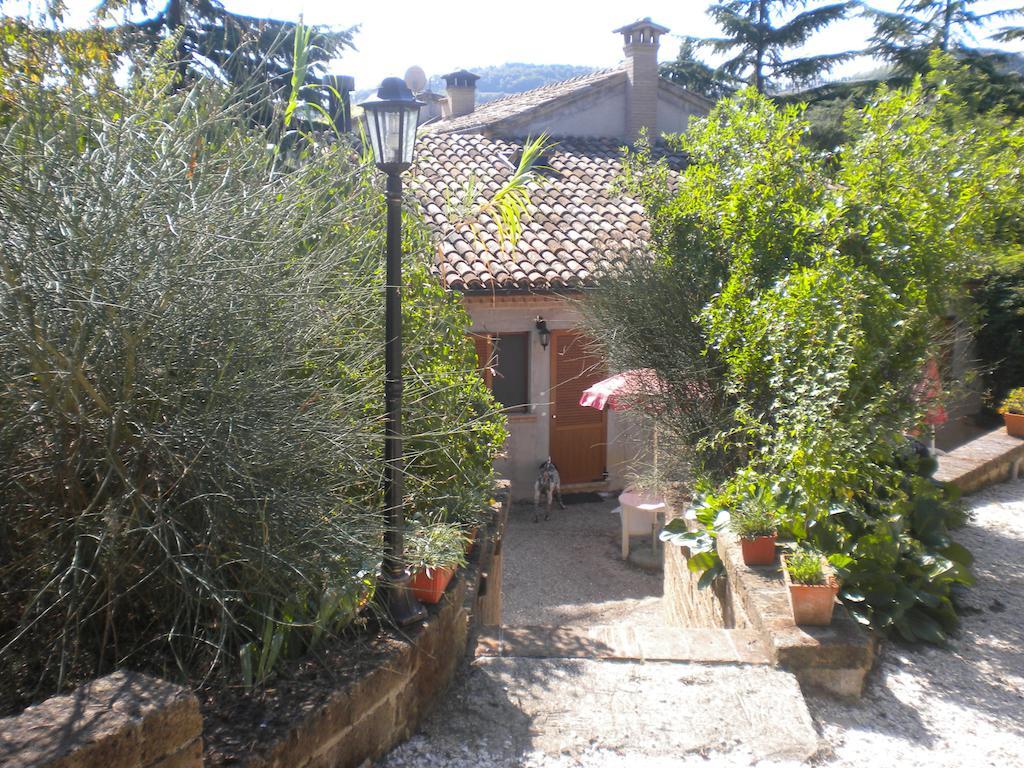 Agriturismo Le Vergare Offagna Екстериор снимка