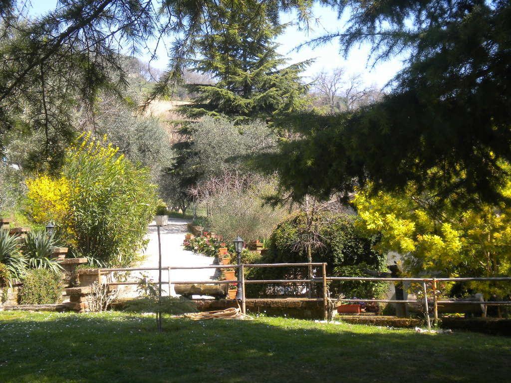 Agriturismo Le Vergare Offagna Екстериор снимка